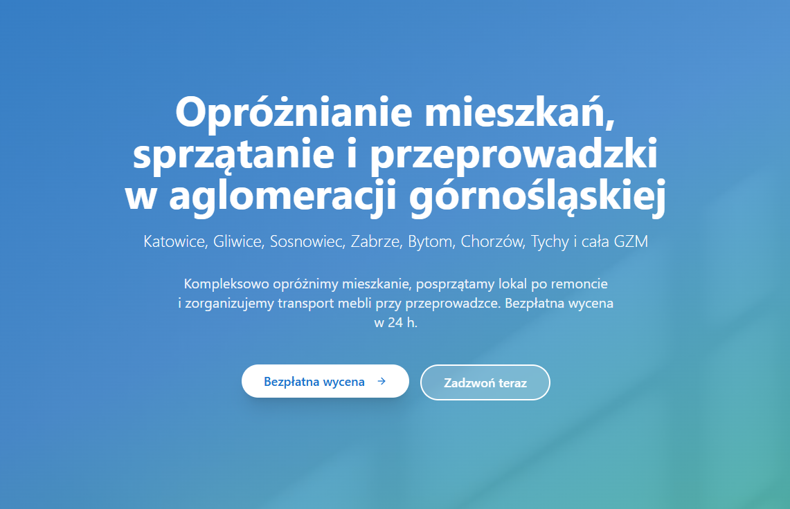 CleanOut website preview